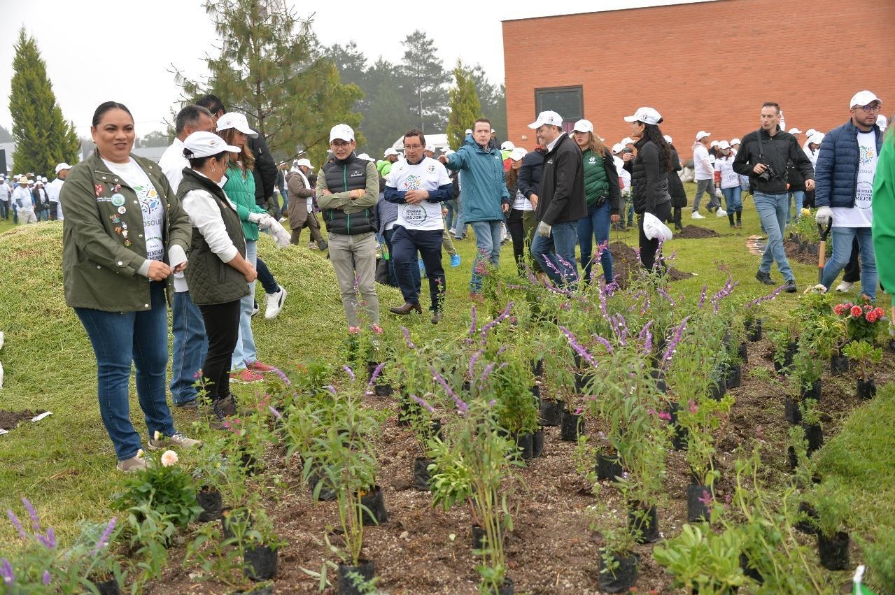 Sembrarán alrededor de 2 mil plantas para crear jardines polinizadores. Imagen: GEM