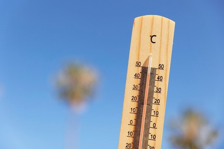 Continúa el calor extremo en Tamaulipas