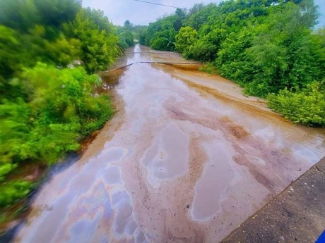 Impacto ambiental en Altamira: Ayuntamiento inspecciona escurrimiento hacia la laguna