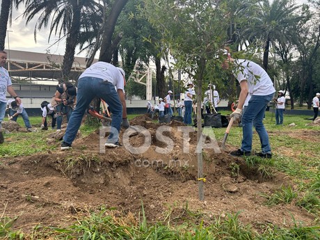 Heineken México reforesta Parque Niños Héroes