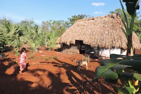 ¿Cómo están hechas las Casas Mayas?