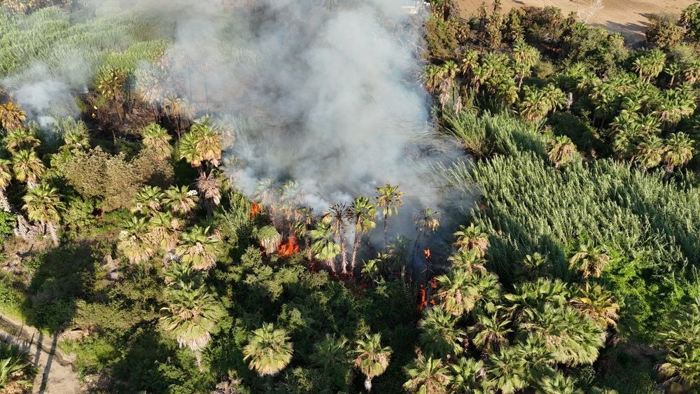 Se movilizaron más de 100 elementos a atender la emergencia. Foto cortesía por Ayuntamiento de La Paz