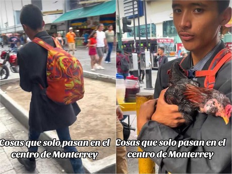 Joven paseando con gallo en Monterrey se hace viral (VIDEO)