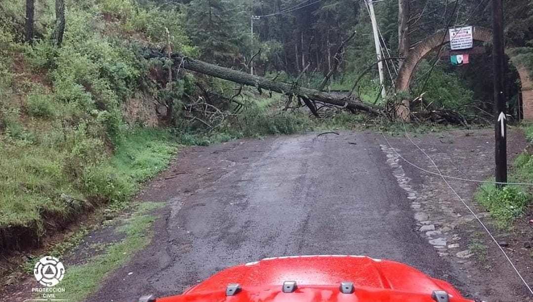 Retiran árbol caído en Camino Colorado de Santa Fe Mezapa. Foto: Especial