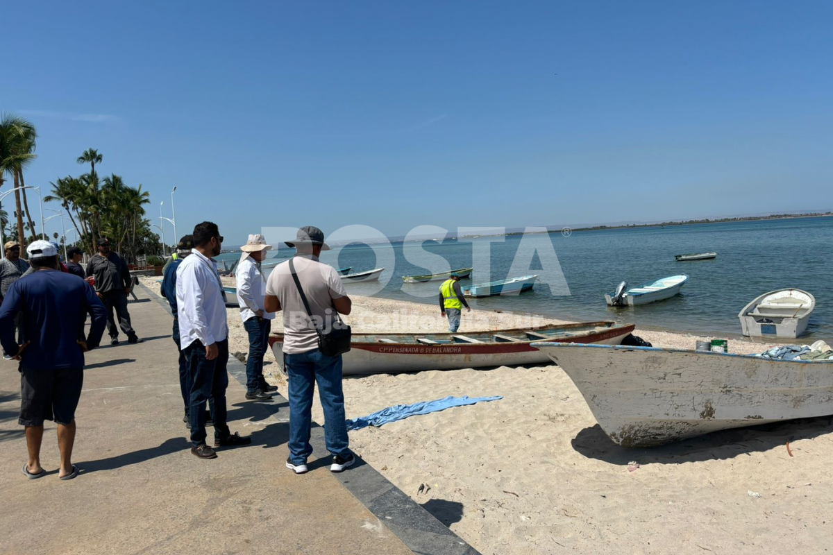 Jornada de limpieza en el Malecón de La Paz. Foto: Joel Cosio / POSTA BCS