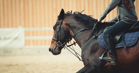 ¡Invitan a Cabalgata Amigos! Partirá de Múzquiz a Sabinas