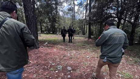 Ejecutan a un hombre y lo abandonan en la sierra de Pueblo Nuevo