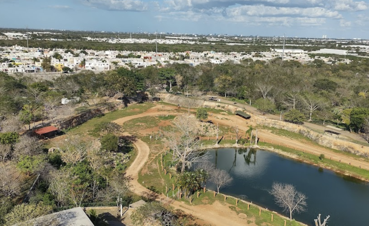 Ciudad Caucel se ha convertido poco a poco en el nuevo “norte” de Mérida por el gran desarrollo económico y comercial que se ha generado en la zona en los últimos años.- Foto de Google