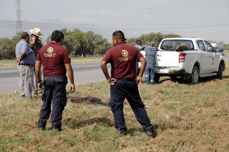 Muere osa atropellada en Escobedo