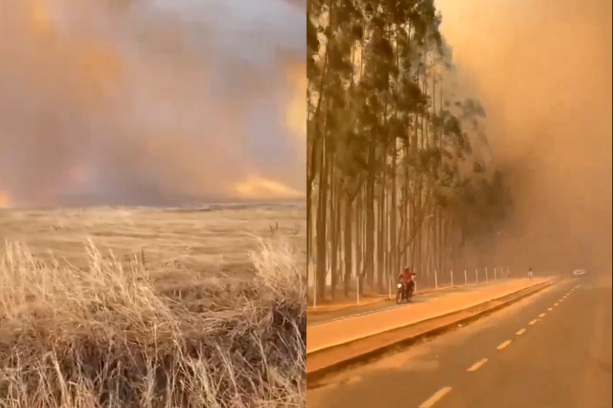 Alerta en Sao Paulo por incendios forestales. Foto: Redes Sociales