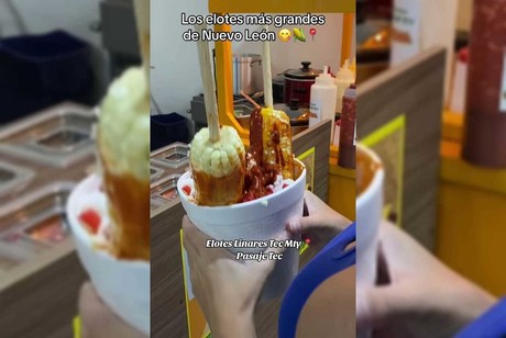 Elotes Linares en Monterrey: ¡Los elotes más grandes del Estado!