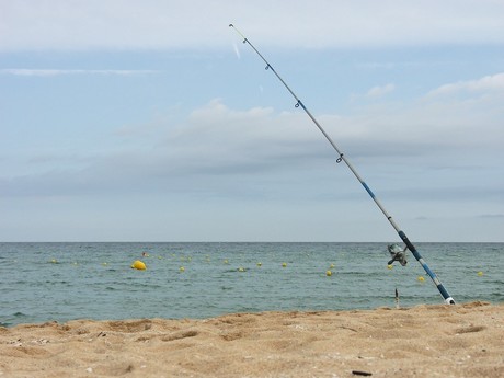 Inscríbete al torneo de pesca de orilla en Las Barrancas