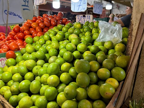 Precio del limón se mantiene estable en Yucatán