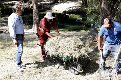 Escobedo combate Dengue, Zika y Chinkungunya con operativo de fumigación