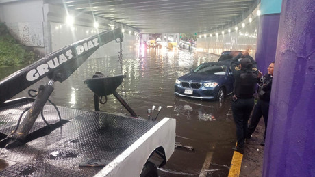 ¡Caos en la CDMX! Lluvias dejan árboles caídos y autos varados, no hay heridos