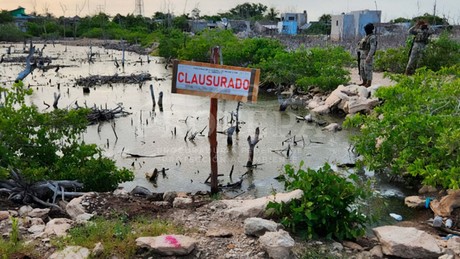 Profepa clausura construcciones en la Reserva de la Biosfera Ría Lagartos