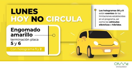 ¡No pagues multas! Este es el 'Hoy No Circula' para hoy 12 de agosto