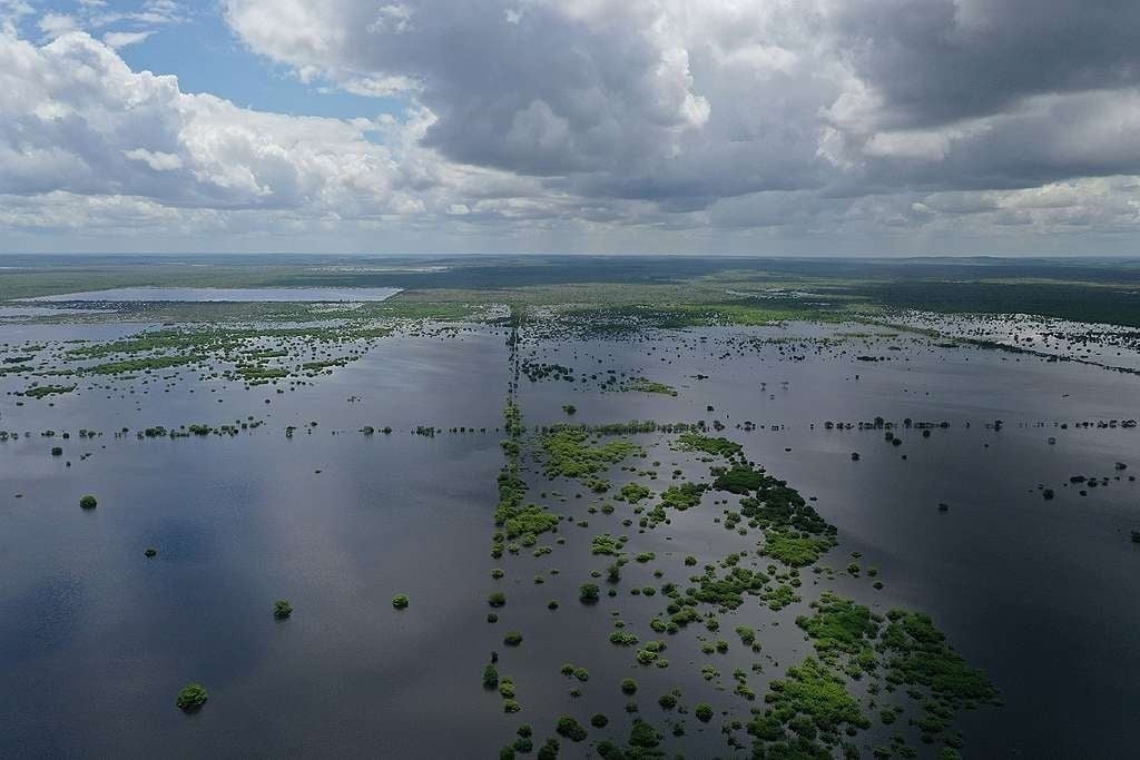 Deforestación, gases de efecto invernadero, todo esto contribuye al deterioro del medio ambiente Foto:  Greenpeace/Ilustrativa