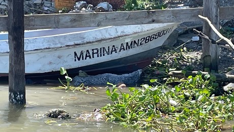 Hallazgo de una mujer sin vida flotando sobre aguas del Río Pánuco