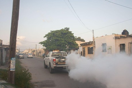 Continúan las acciones de fumigación en Mérida y municipios de Yucatán