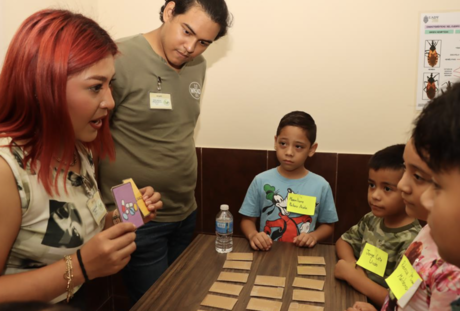 Difunden la importancia de identificar insectos de Yucatán