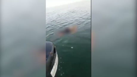 Encuentran cuerpo sin vida flotando frente al muelle de Chicxulub Puerto