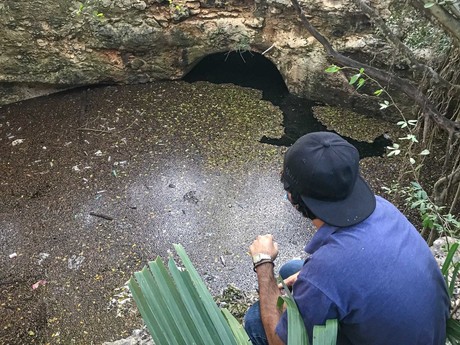 Cenote en casa abandonada: belleza subterránea contaminada en Mérida