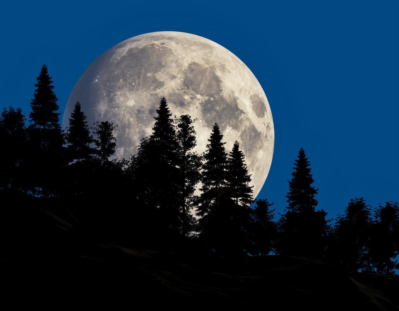 Superluna del 19 de agosto 2024. Foto: Unsplash