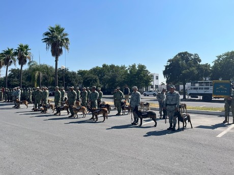 Entregan 15 caninos del Ejército a la Asociación de Médicos Veterinarios de NL