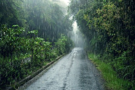 Aquí tienes el pronóstico del tiempo para Tamaulipas