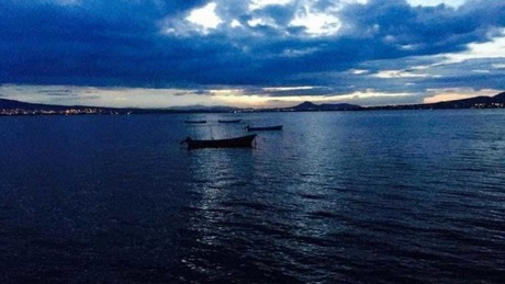 Renace la laguna de Zumpango, luce llena de vida