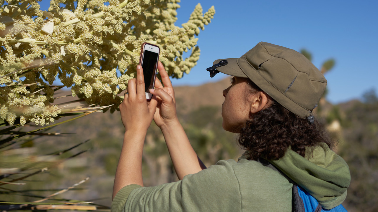 La app está disponible para Android y iOS. Foto cortesía por iNaturalist