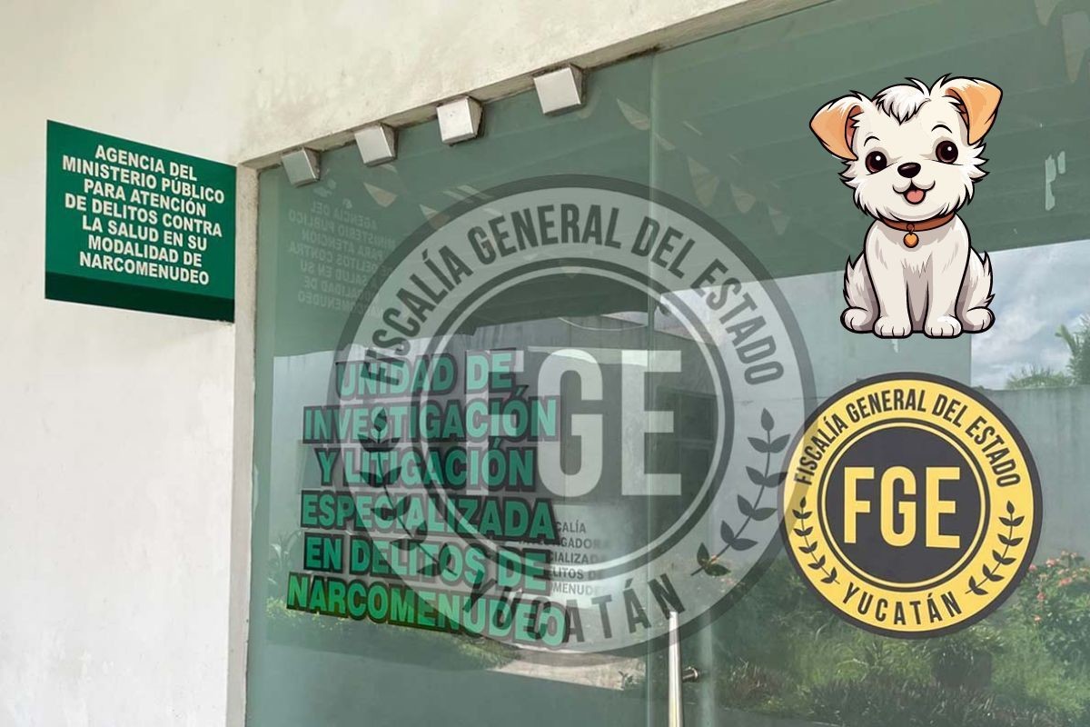 ¿Cómo puedo denunciar un caso de maltrato animal en Yucatán?. Foto: FGE