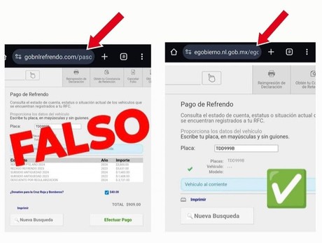Alarman por página falsa para pago de refrendo en Nuevo León