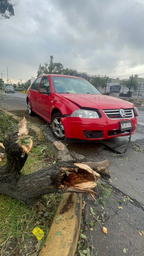 Taxista choca a dos jóvenes que se impactan contra árbol en Iztacalco y huye