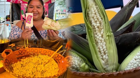 Feria del Elote 2024 en Cocotitlán; visitarla es opción de fin de semana