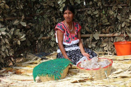 Día Internacional de los Pueblos Indígenas: La protección de sus derechos