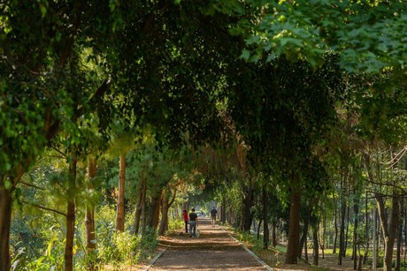 ¡No te pierdas el BioFest! Llega primer Festival por la Naturaleza en la CDMX