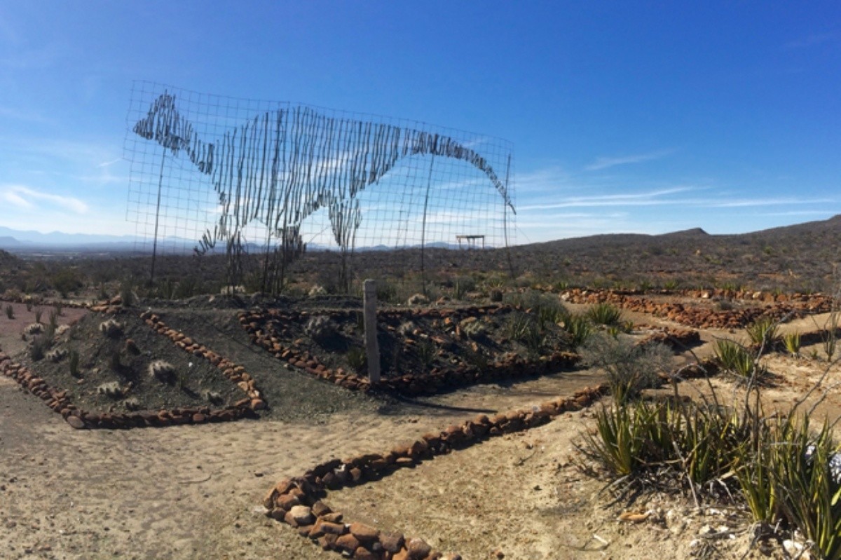 Rincón Colorado Coahuila. Foto de INAH.