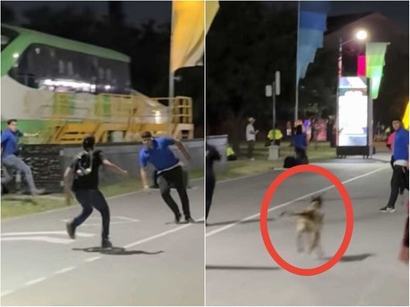 ¡Ni el perro lo alcanzó! Joven se mete sin boleto al Dale Mixx (VIDEO)