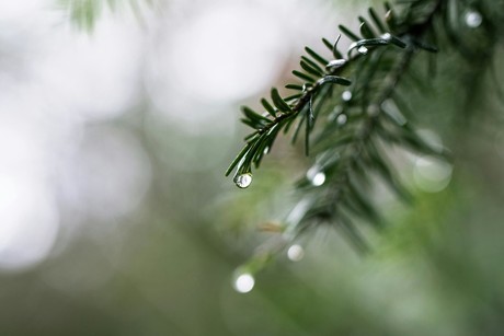 Se esperan lluvias intensas en sierra