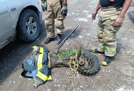 No paran capturas de cocodrilos en el sur de Tamaulipas