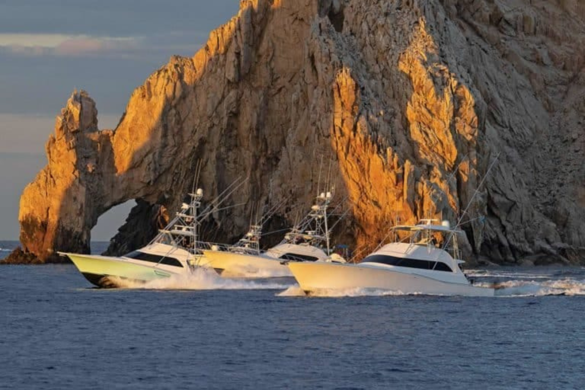 Torneo de pesca 'Los Cabos Billfish Tournament'. Foto: Comité organizador Torneo de Pesca deportiva Billfish 2024