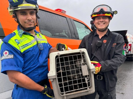 >¡Adoramos los finales felices!, rescatan a perrito de pozo en San Nicolás