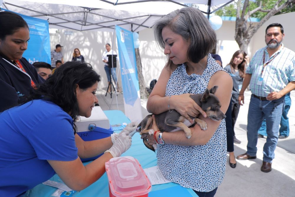 Centros de Salud en Nuevo León aplicarán vacuna antirrábica gratuita. Foto. Gobierno de Nuevo León