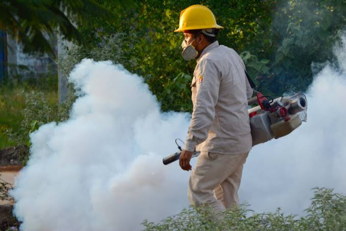 Las acciones de fumigación han sido intensificadas debido al incremento de casos de dengue en la entidad. Foto: Salud