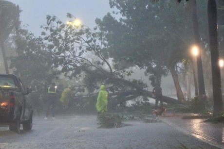 Árboles caídos y  calles inundadas tras el paso de 'Helene' por Cancún