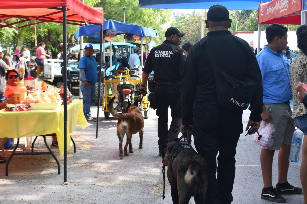 Los guardianes estatales implementarán recorridos a pie, en bicicleta y motorizados. Foto: SSPT