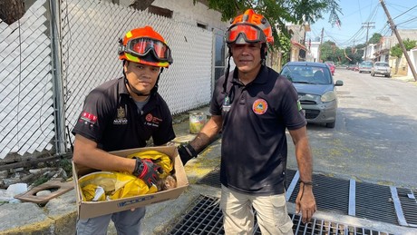 Rescatan a gato atrapado en drenaje en Guadalupe