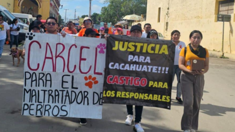 Marcha por 'Cacahuate' en Seyé: exigen justicia por maltrato animal